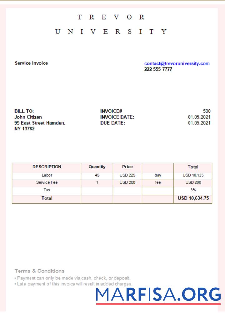 Realistic USA Trevor University invoice template